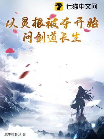 叶空林夭夭叫什么名字