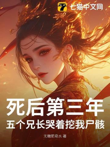 马甲的千层套路观影体