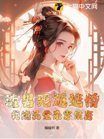 马甲的千层套路TXT
