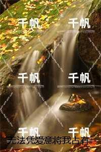 这条咸鱼她是满级大佬 糖丸丸