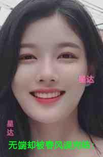 无人区玫瑰歌词