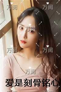 辉煌岁月TXT免费