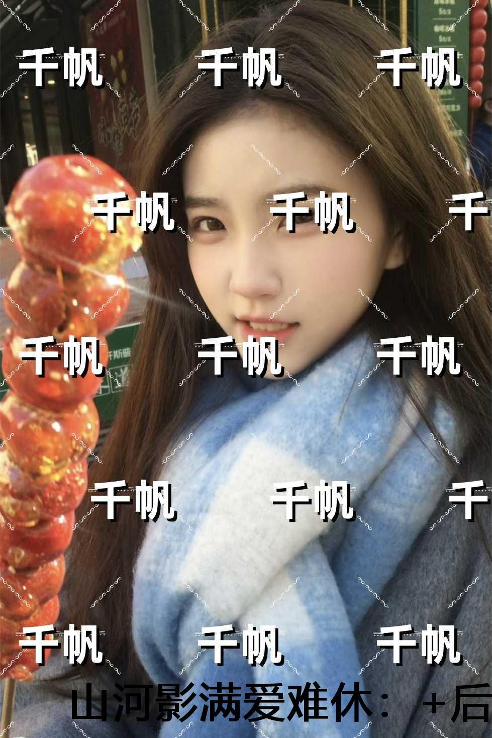 鸣镝风云录下册