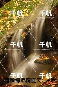 剑灵她不想努力了