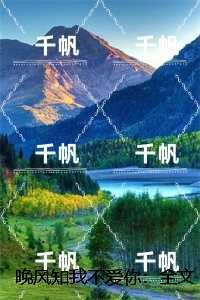 大清盐商简介