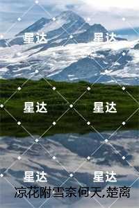 奋斗在盛唐txt