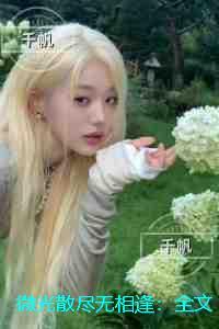 闺门荣婿完整版