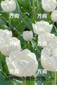 锦帐春慢好看吗