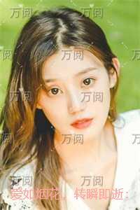 我的人生 电视剧