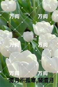 王妃跳崖王爷后悔了的
