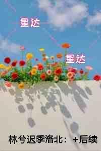 我打造了科学魔法有女主吗