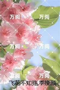 重生后太子扒了我的小马甲好看吗