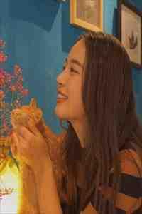 彼时雨如霖 奈良辰