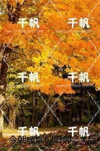 女主醒来后[快穿