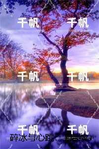 破军狼王电影免费观看