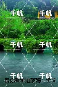 晚安我亲爱的人是一本什么书