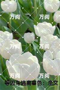 不败战神最新章节