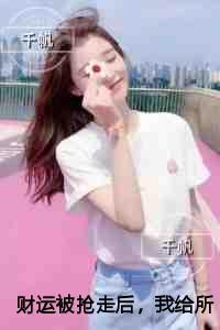 崩坏世界的传奇大冒险为什么下架了