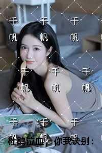 伏鹰春风榴火免费阅读晋江