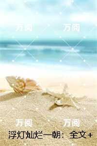 盛夏的时光法国