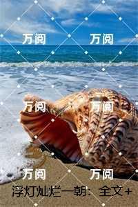 吴晓溪 西安微电机研究所