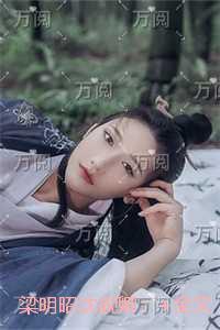 乌衣巷免费阅读