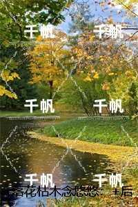 穿越七零女神的逆袭谭阳