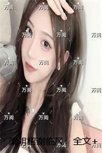 汉家功业TXT