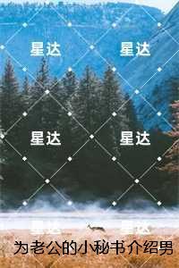 掠夺者擎neo参数
