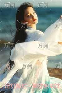 天元仙记有几个女主