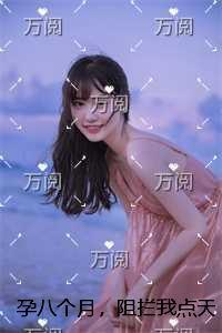 公主联盟gba汉化