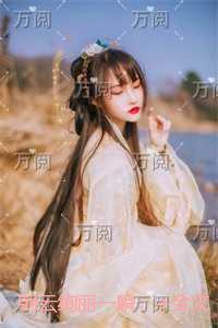 兼职网恋[全息