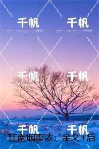 我和总统结婚了全文阅读