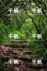 都市良人行讲的什么