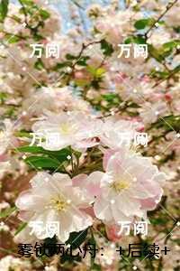 带着空间去逃荒 笔趣阁