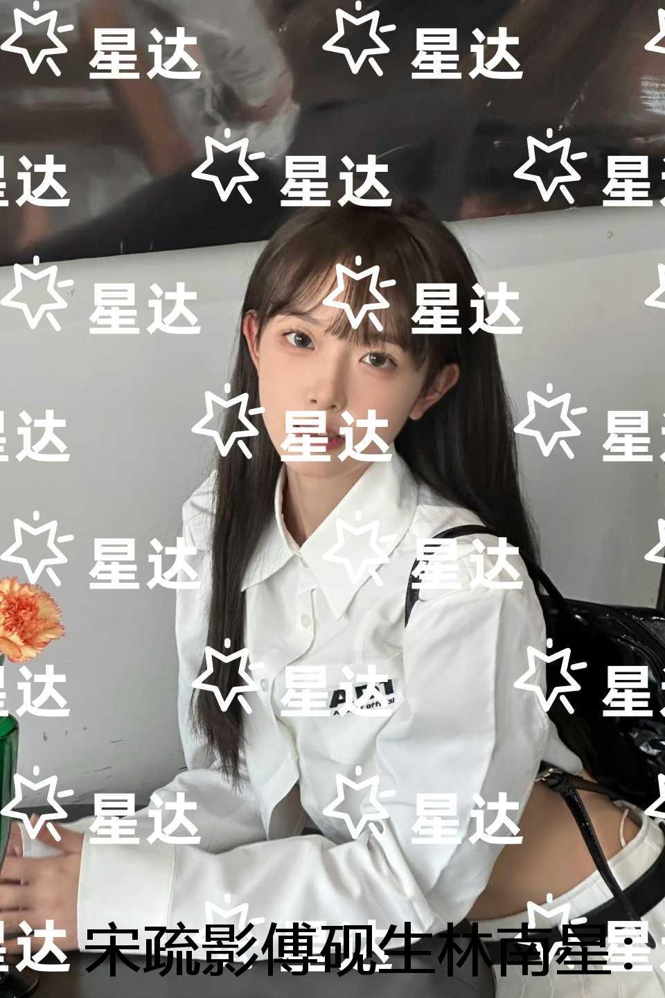 大魏能臣免费阅读