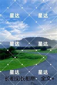 大魏能臣TXT免费阅读