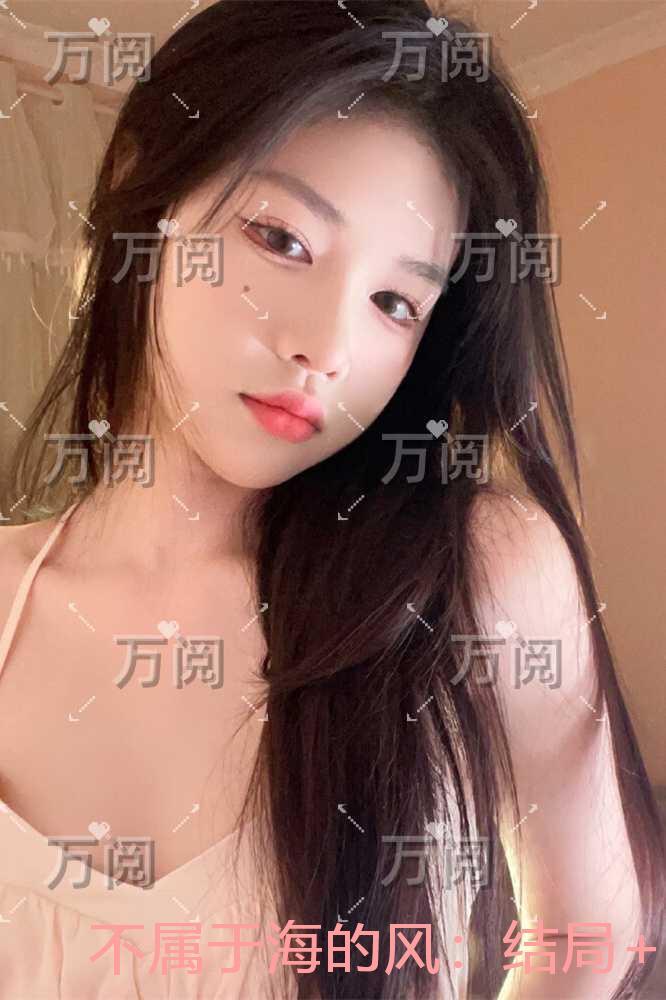 大魏能臣女主有几个