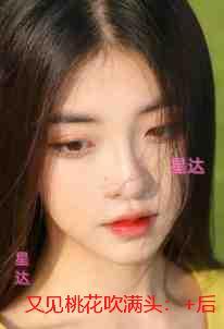 钟情假象三厌讲的什么