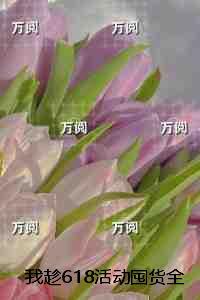 栀子花儿童版