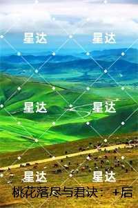 YY协议号