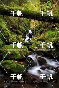 虐文求生游戏碉堡