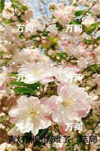 我带古人穿回现代百度