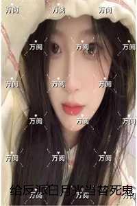 偷影子的人ppt模板
