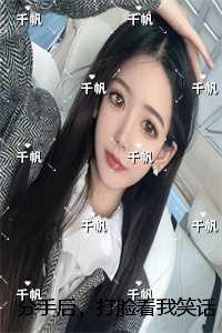 四合院之大时代之下无防盗
