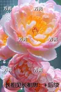 张元清关雅结局