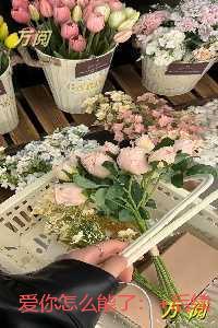 魔兽入侵漫威女主是谁