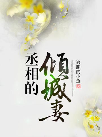 洄天淮上免费阅读