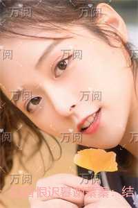 寻宝神瞳免费阅读全文