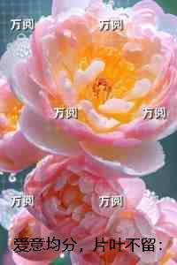 曾文正公全集的作者是谁